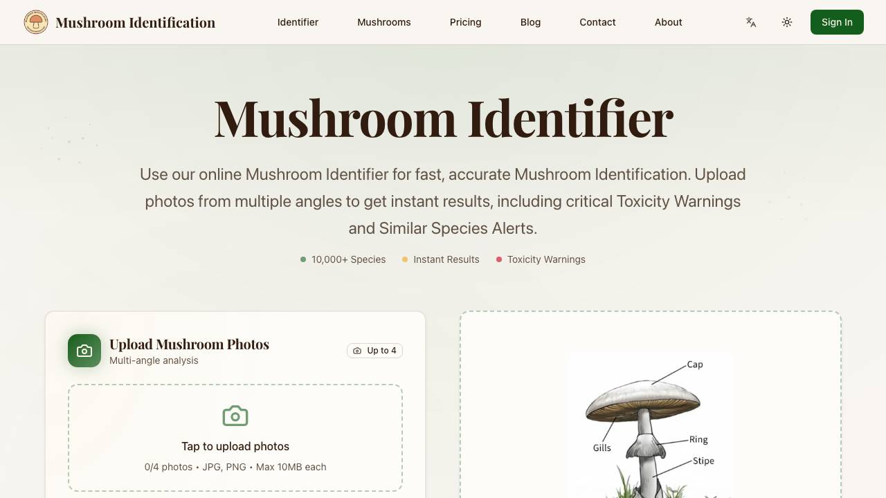 Mushroom ID 项目封面